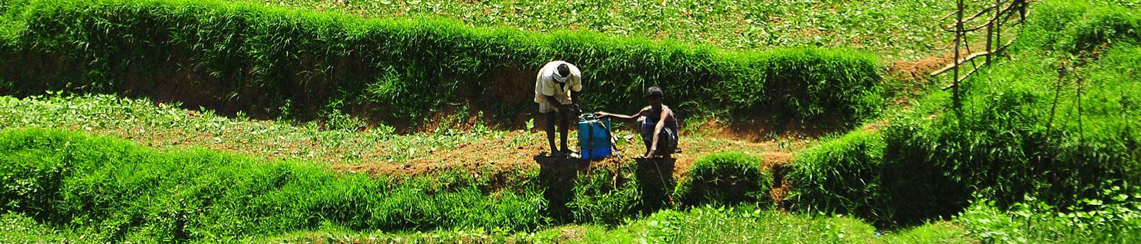 Farm management