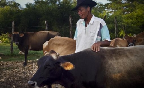 A vehicle for increasing milk production